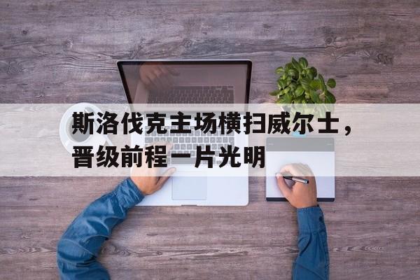 斯洛伐克主场横扫威尔士，晋级前程一片光明的简单介绍