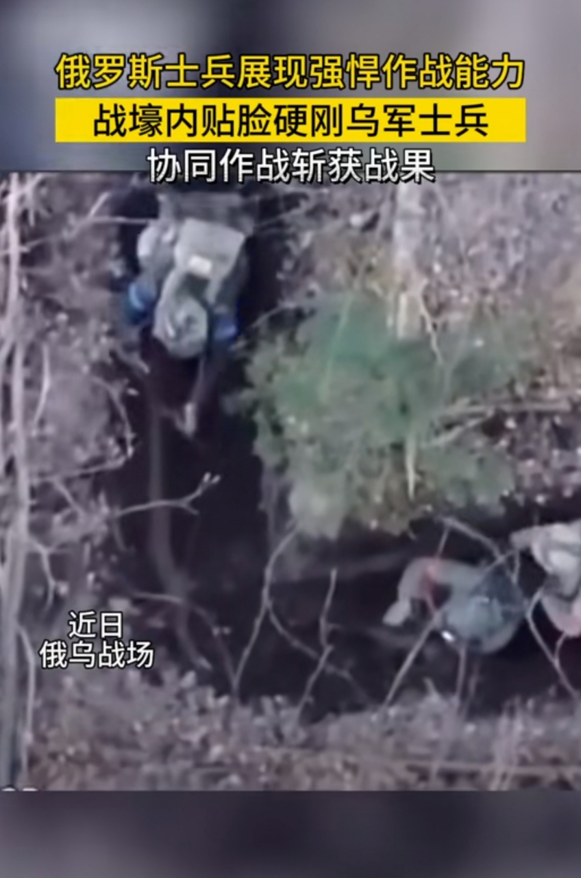 关于艰难取胜:球队冒生死危险获得珍贵战果的信息 关于艰难取胜:球队冒生死危险获得珍贵战果的信息