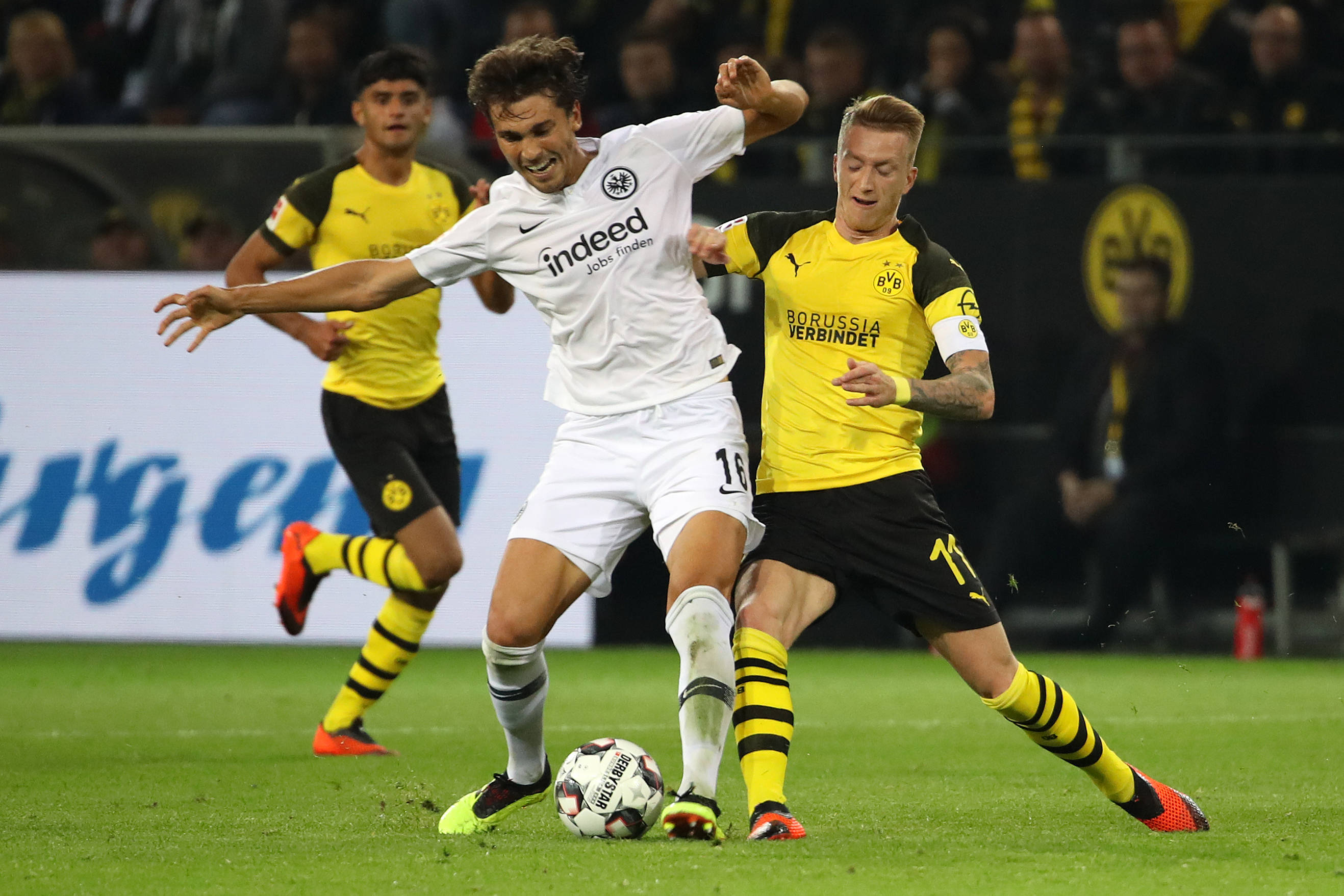 包含法兰克福主场战胜对手,表现出色实力的词条 包含法兰克福主场战胜对手,表现出色实力的词条