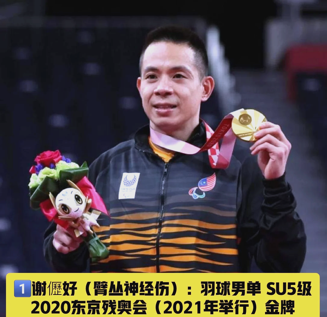 马来西亚选手意外夺冠,完美收官 马来西亚选手意外夺冠,完美收官