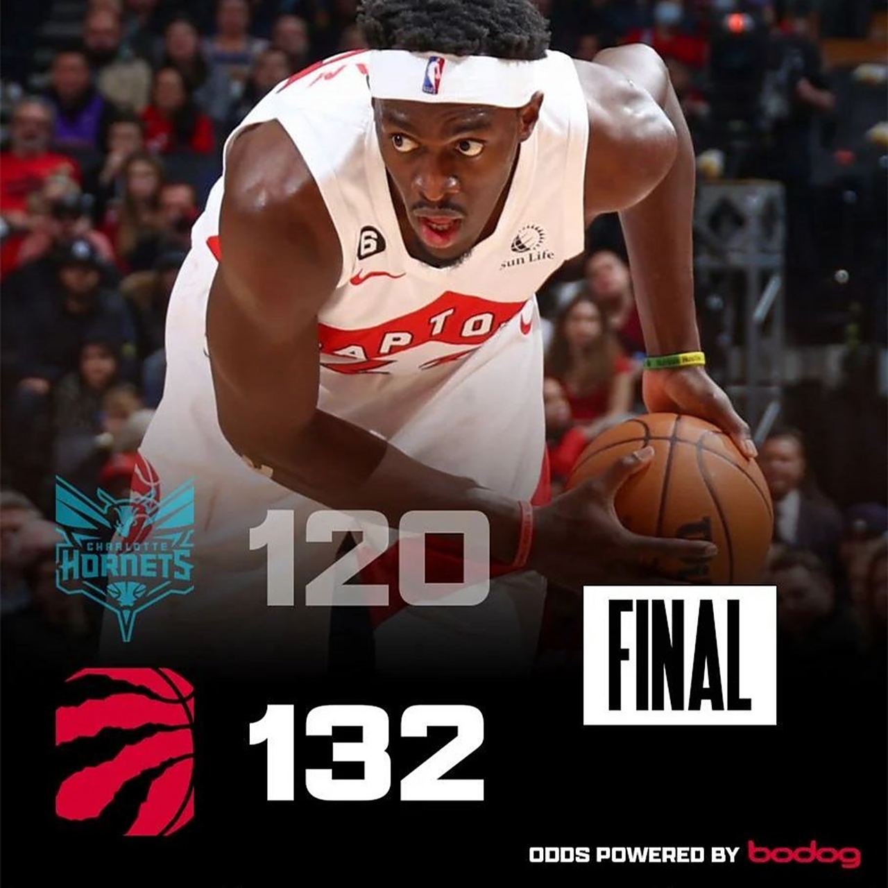 猛龙客场战胜黄蜂领先 猛龙客场战胜黄蜂领先