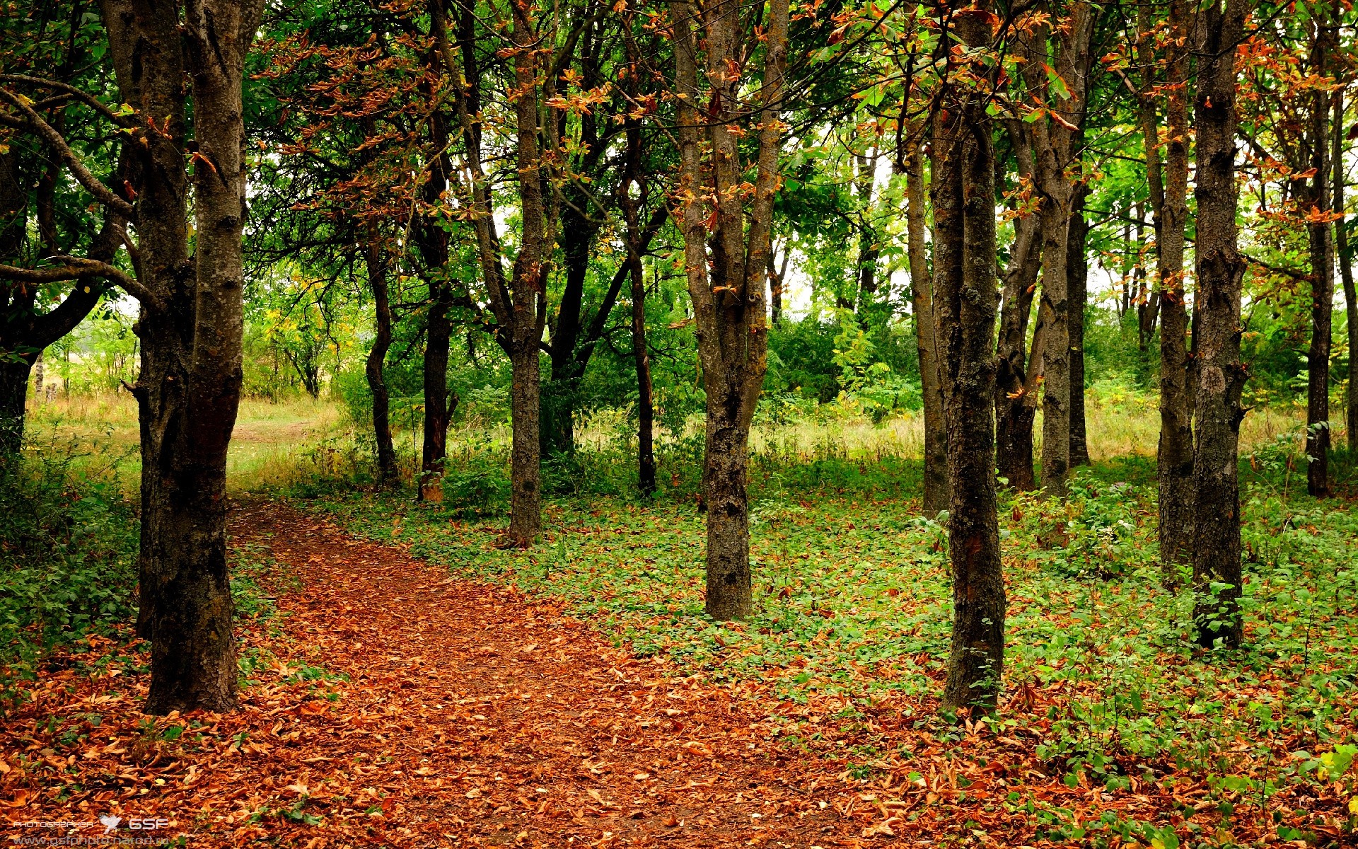 铁闸德里赫特统治攻防，塞维利亚友谊赛力克南美劲旅秘鲁