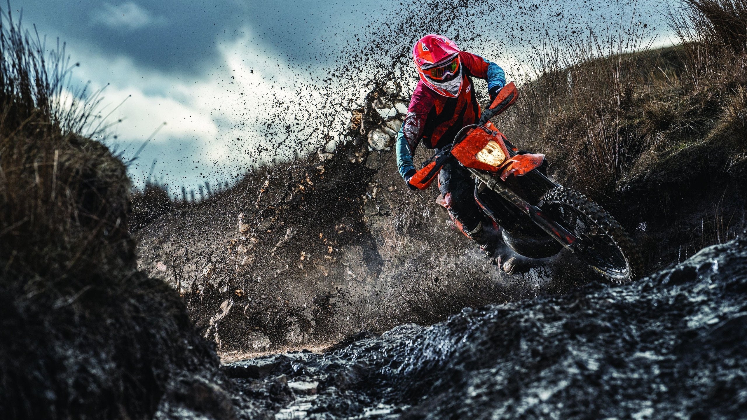 双城记，当字母哥的焰火照亮德甲争冠夜